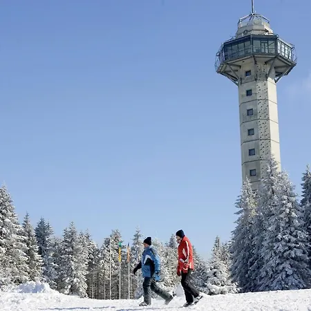 Schneeberg Apartment Willingen (Upland)