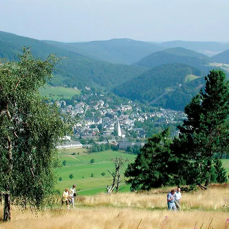 Schneeberg * Willingen (Upland)