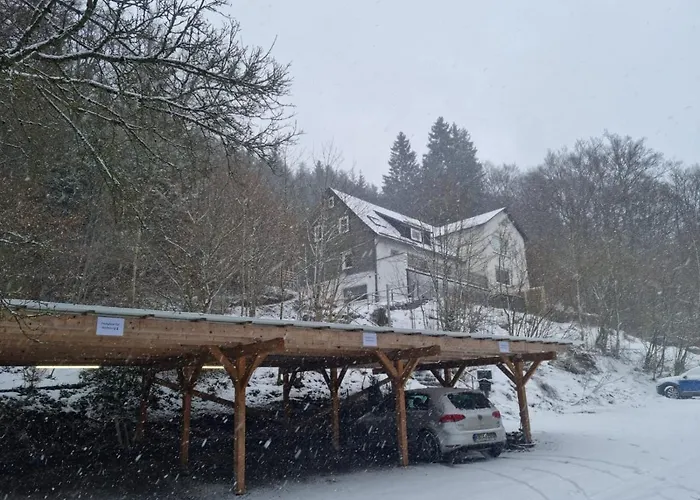 Apartman Schneeberg *